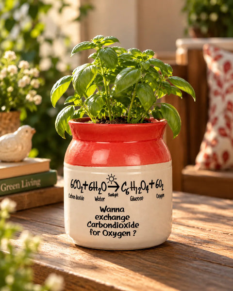 Small Red Ceramic Planter